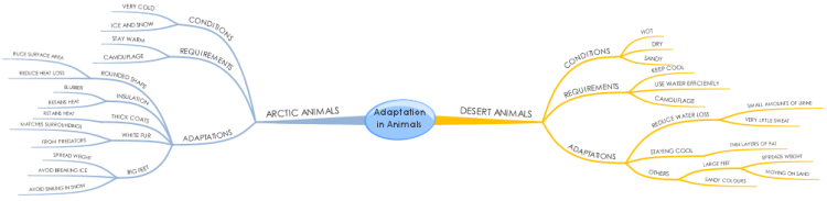 Adaptation in Animals: iMindMap mind map template | Biggerplate Adaptation in Animals: iMindMap mind map template | Biggerplate