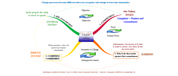 Kegan Lahey Immunity to Change summary