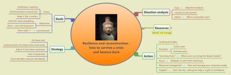 Resilience and reconstruction : how to survive a crisis and bounce back