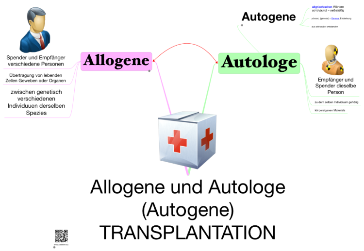 Allogene vs. Autologe