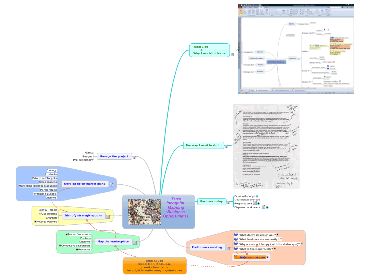Terra Incognita: Mapping Business Opportunities
