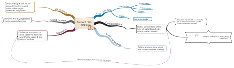 Account Plan Template