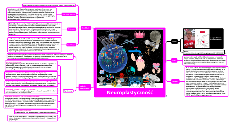 Neuroplastyczność