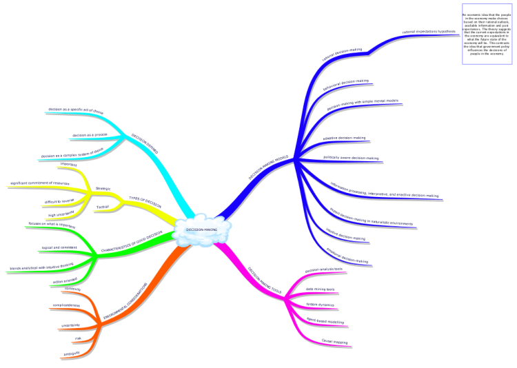 Causal map as a group decision-making tool