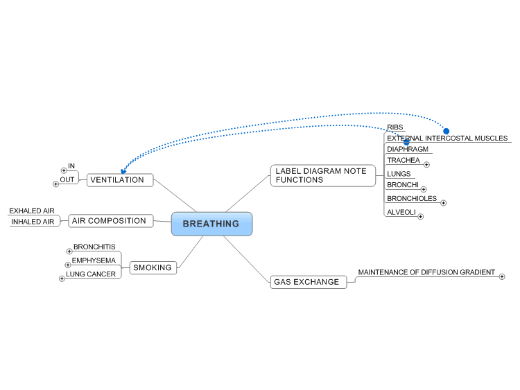 Biology GCSE: Breathing Mind Map