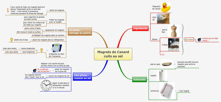 Magrets de Canard cuits au sel