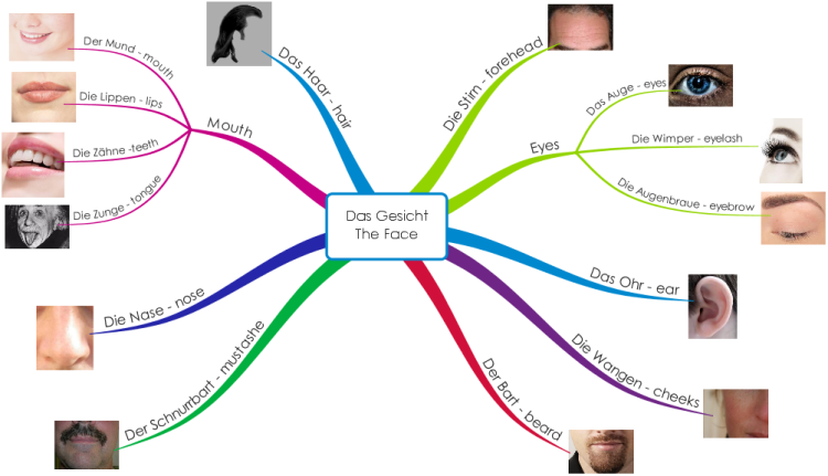 iMindMap: Language Learning German - The Face mind map ...