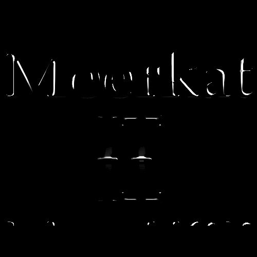Meerkat_IT