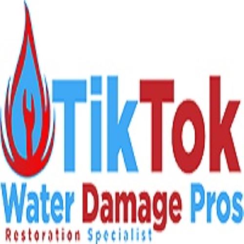 tiktokwaterdamagepros